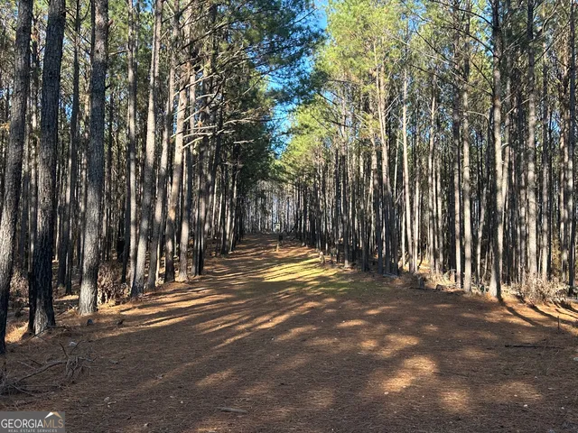 $369,999 | 202 Taylor Road, Talbotton, GA 31827