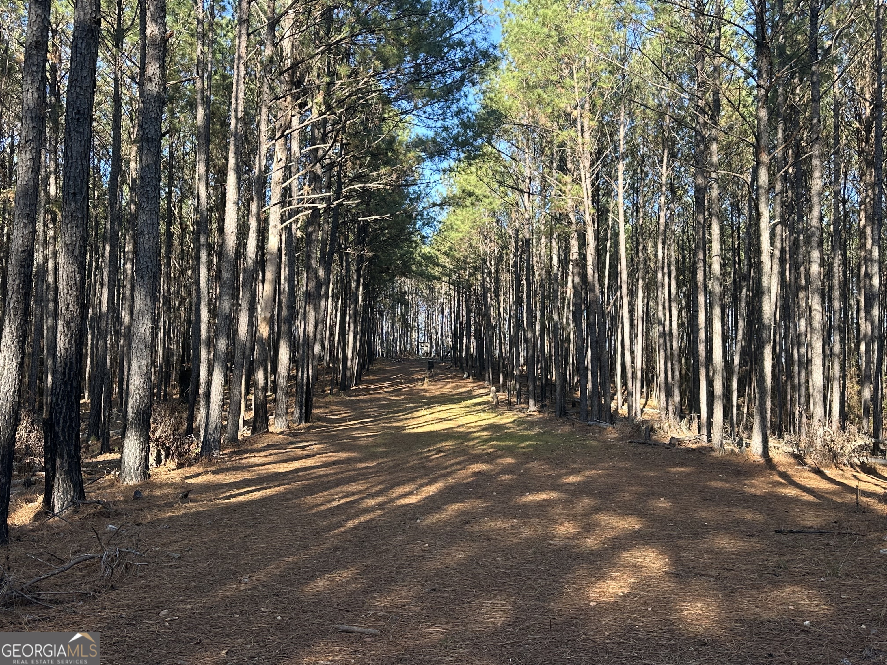 202 Taylor Road Talbotton, GA 31827 - Photo 25 of 32 a view of basketball court