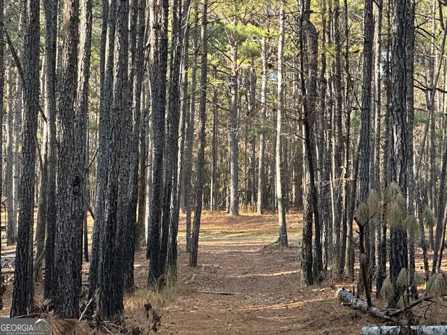 $369,999 | 202 Taylor Road, Talbotton, GA 31827