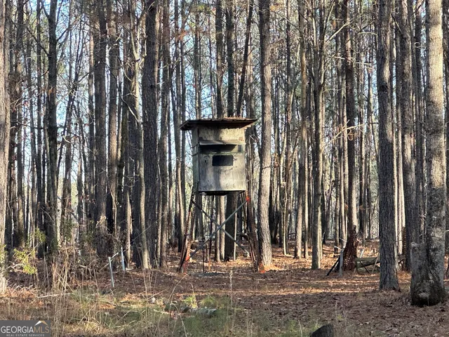 $369,999 | 202 Taylor Road, Talbotton, GA 31827