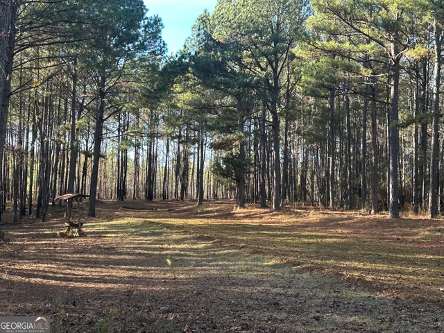 $369,999 | 202 Taylor Road, Talbotton, GA 31827