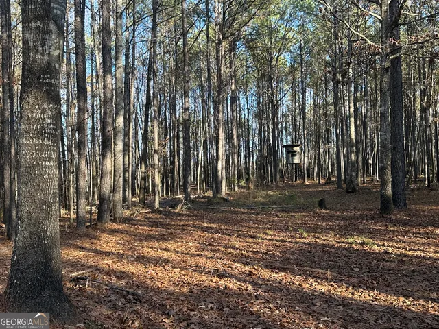 $369,999 | 202 Taylor Road, Talbotton, GA 31827