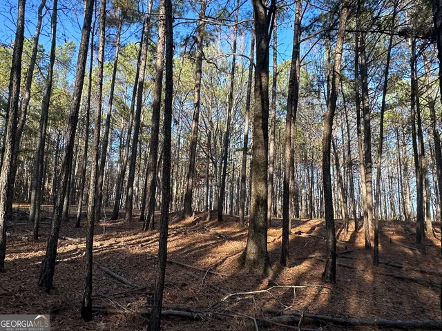 $369,999 | 202 Taylor Road, Talbotton, GA 31827