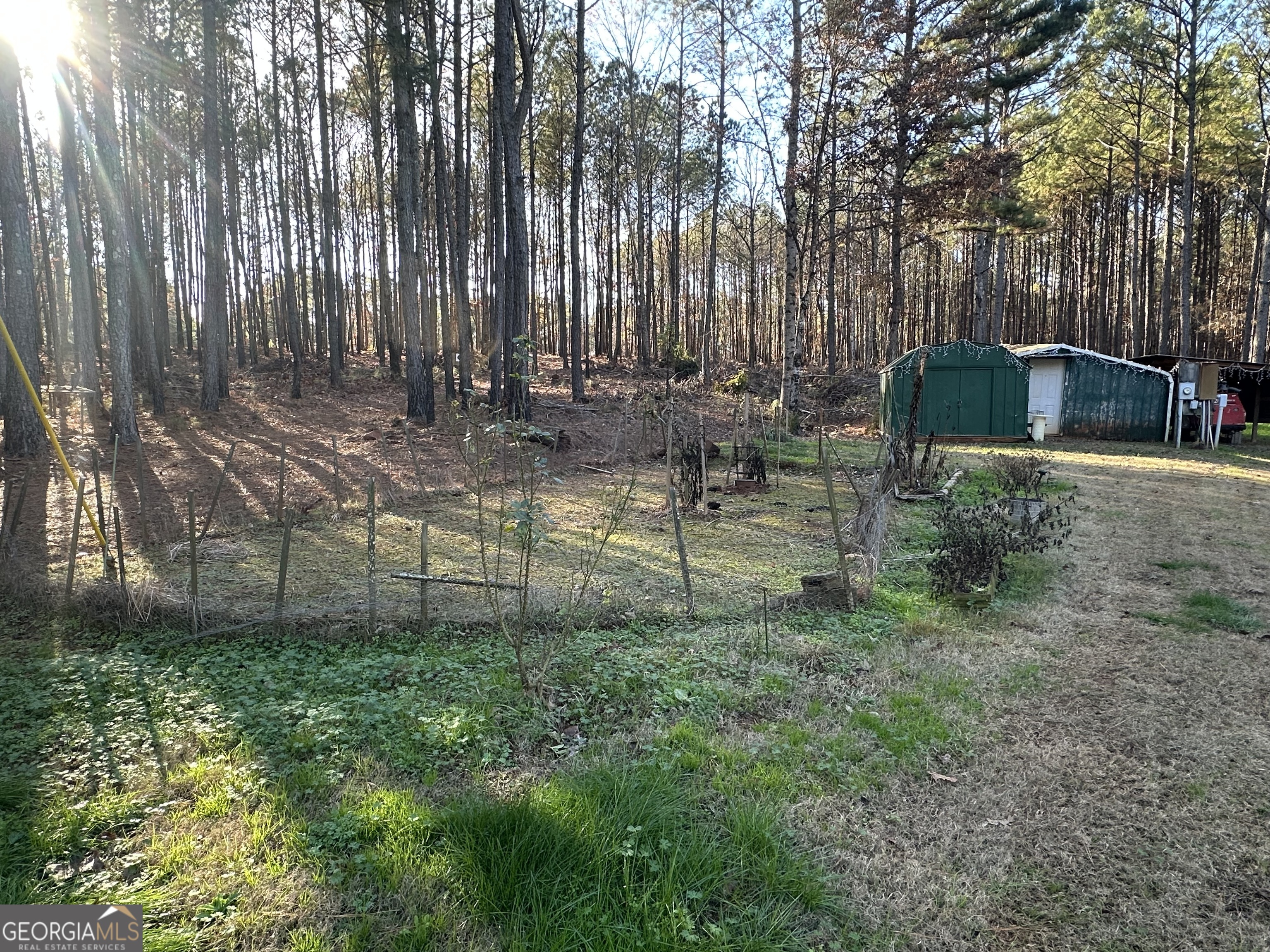 202 Taylor Road Talbotton, GA 31827 - Photo 4 of 32 a view of a backyard