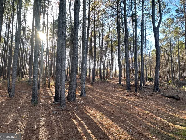 $369,999 | 202 Taylor Road, Talbotton, GA 31827