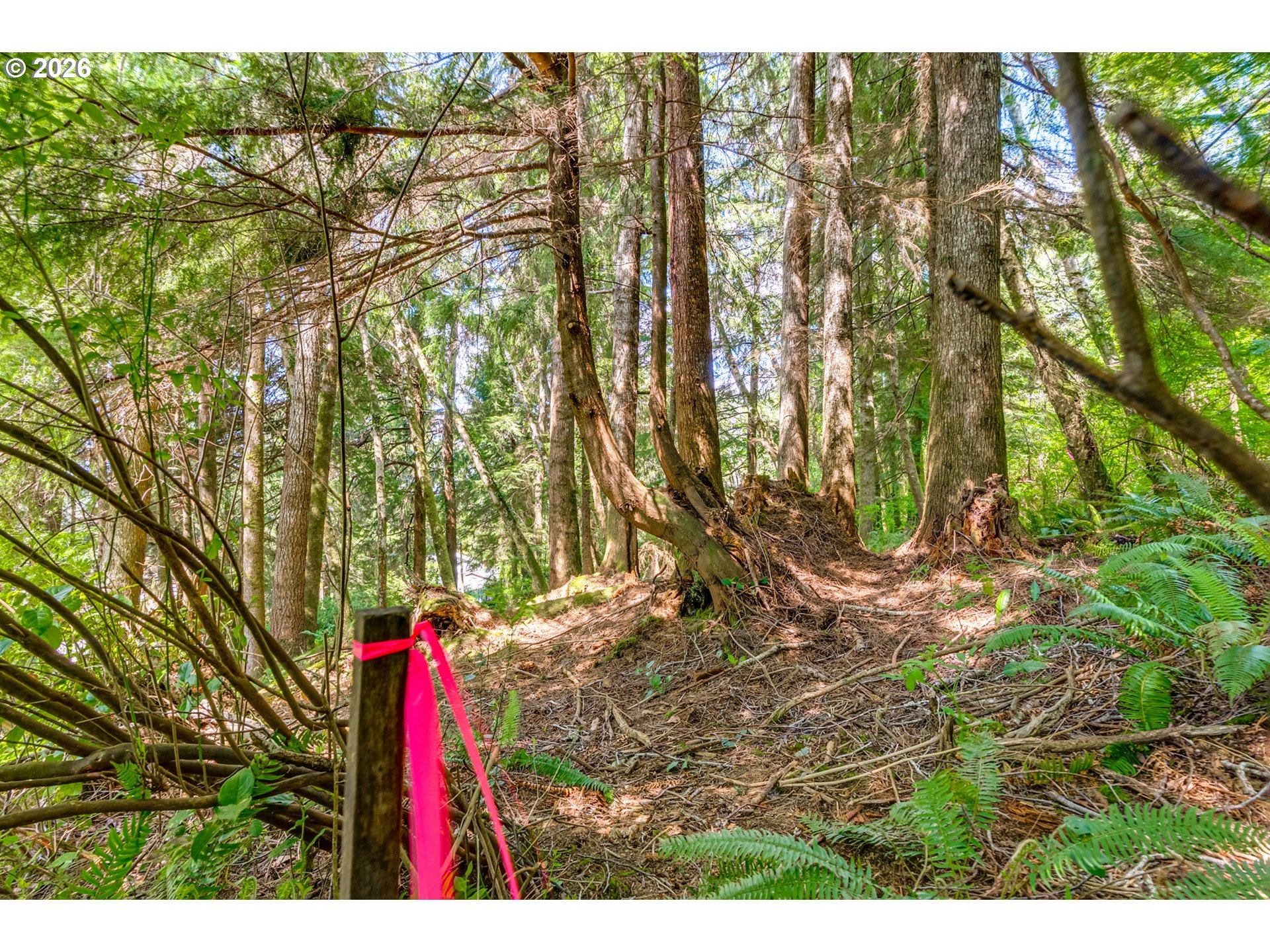 9 Block Nehalem, OR 97131 - Photo 8 of 36