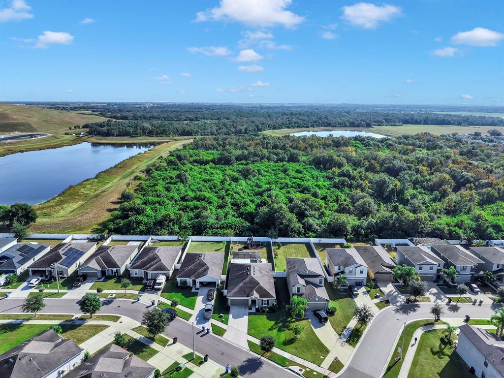 14530 Haddon Mist Drive Wimauma, FL 33598 - Photo 41 of 44 an aerial view of multiple house