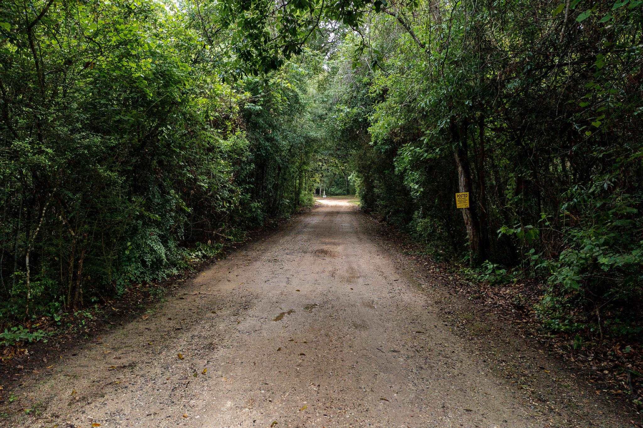 27966 Gus Moore Road Loxley, AL 36551 - Photo 32 of 44 Driveway