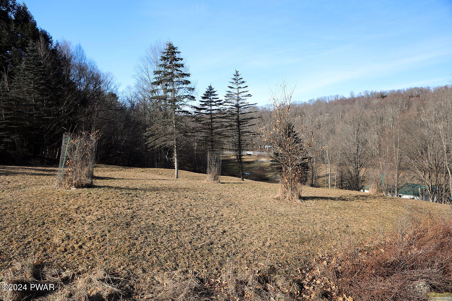 1106 Pine Mill Road Equinunk, PA 18417 - Photo 11 of 21 Chestnut trees