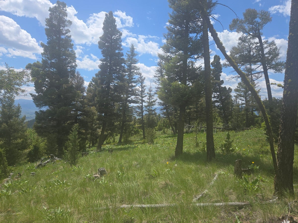 2 Big Sky Ridge Road Drummond, MT 59832 - Photo 3 of 24 Gallery Image 3