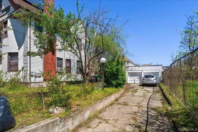 a view of a yard with plants and large trees