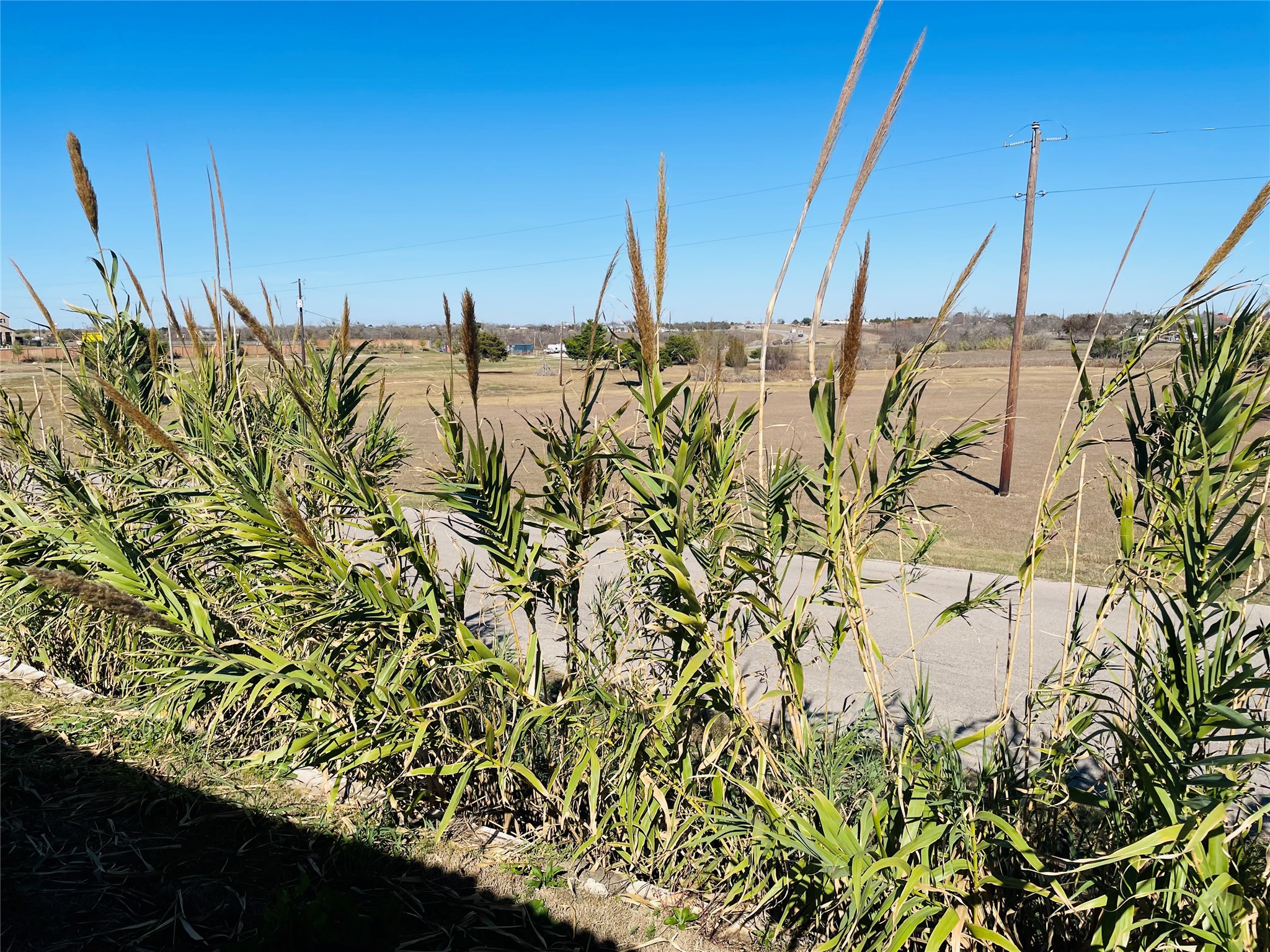 18508 A High Flyer Way Manor Manor, TX 78653 - Photo 25 of 32 Back to road and private property, no nearby back neighbor