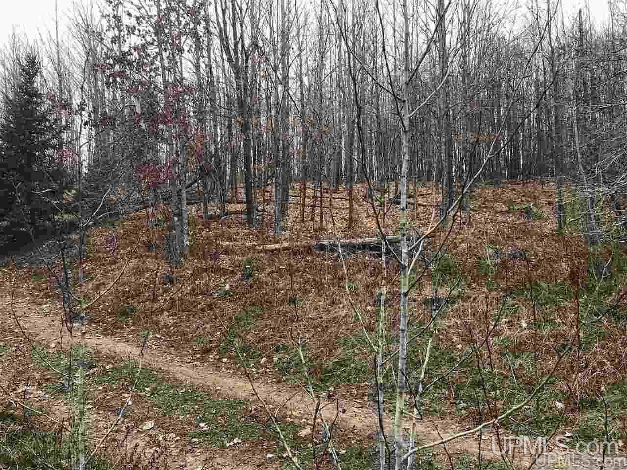 Tbd Murray Road, Unit 2 Perronville, MI 49873 - Photo 24 of 32