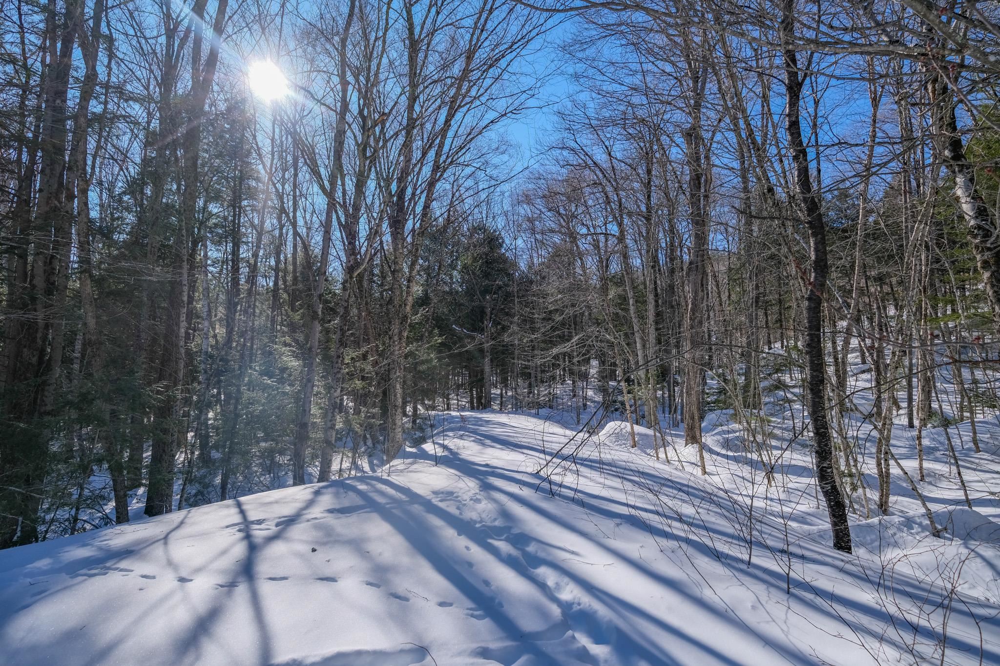 0 Woods Road West, Unit LOT #33 Ludlow, VT 05149 - Photo 6 of 22