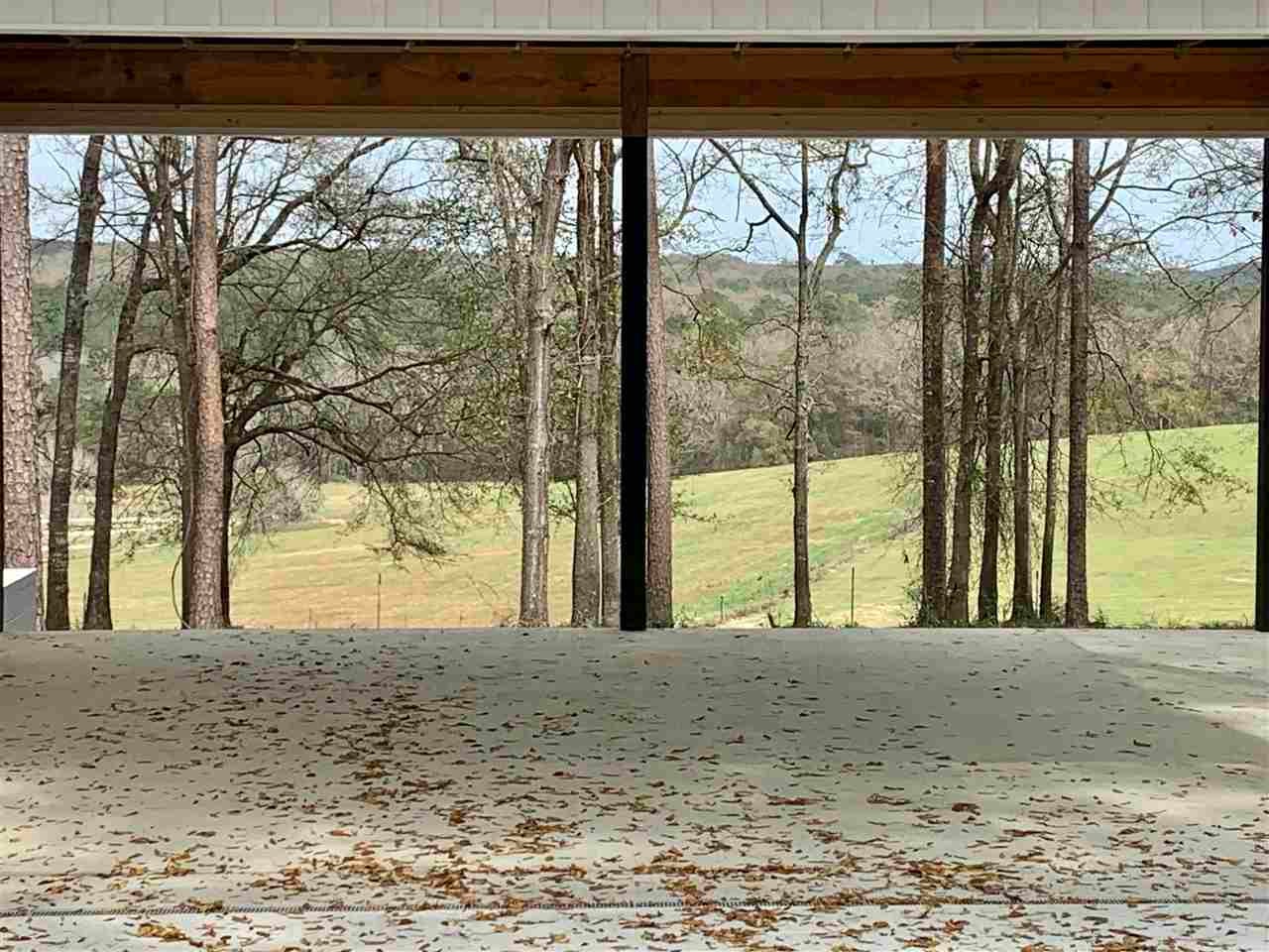 29982 Meadow Lane Road Andalusia, AL 36421 - Photo 4 of 16 Gallery Image 4