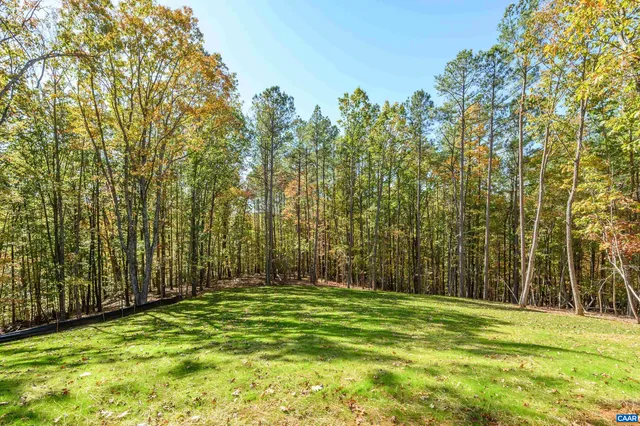 a view of a park with large trees
