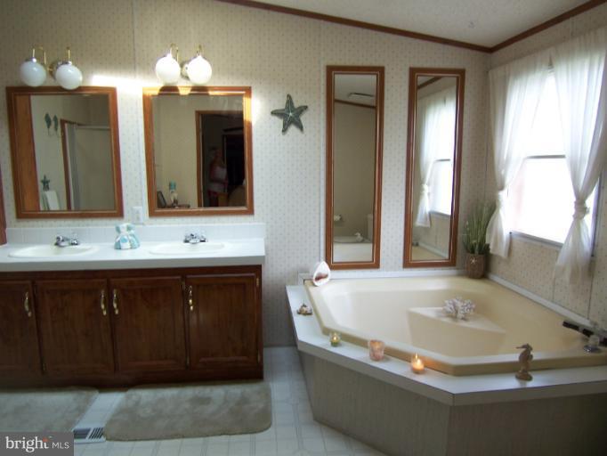 49419 Portneys Overlook Road Ridge, MD 20680 - Photo 1 of 21 Bath (Master)