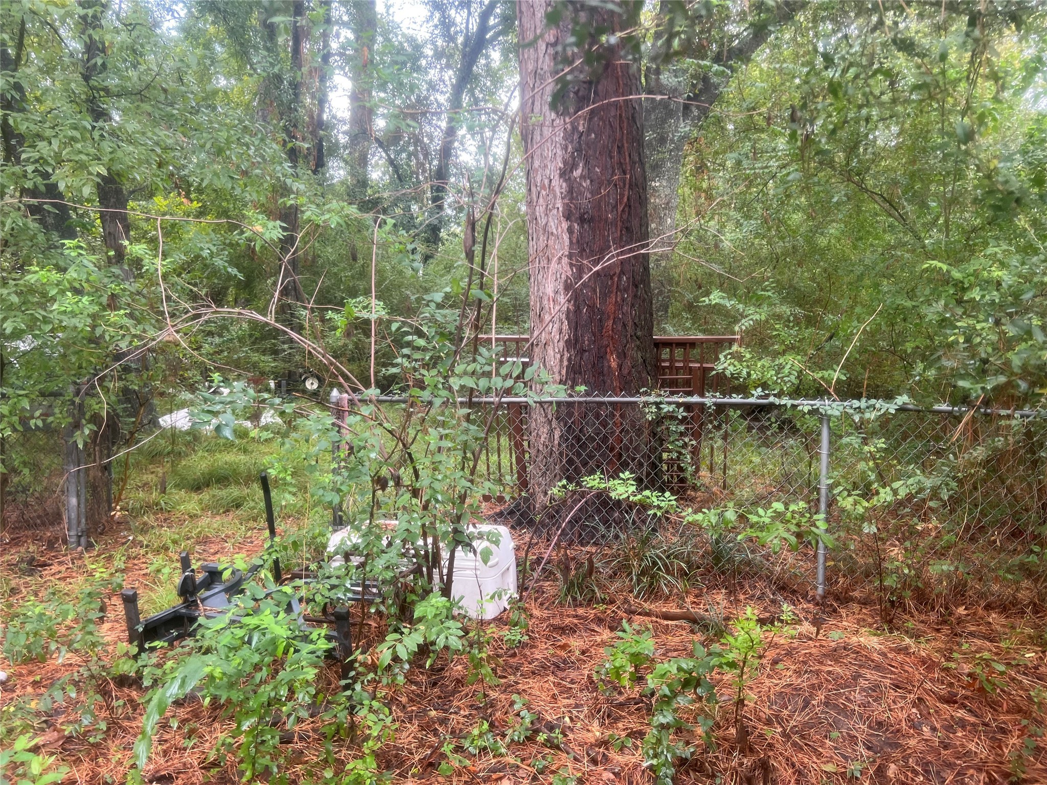 16707 Waycreek Road Houston, TX 77068 - Photo 29 of 29 a backyard of a house with lots of green space and fog