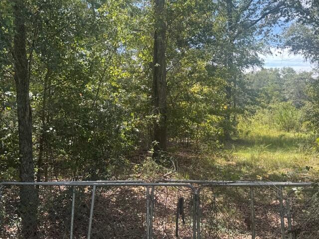 1651-1571 State Rd S-38-1206 North, SC 29112 - Photo 2 of 5 IMG_1561