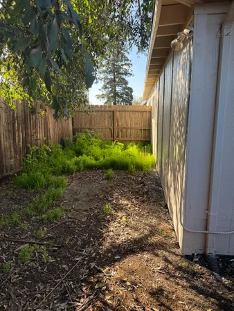 a view of back yard