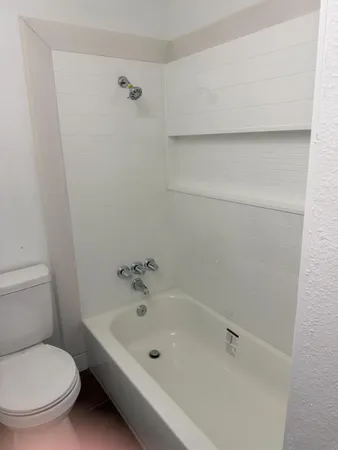 a bathroom with a toilet and a bathtub