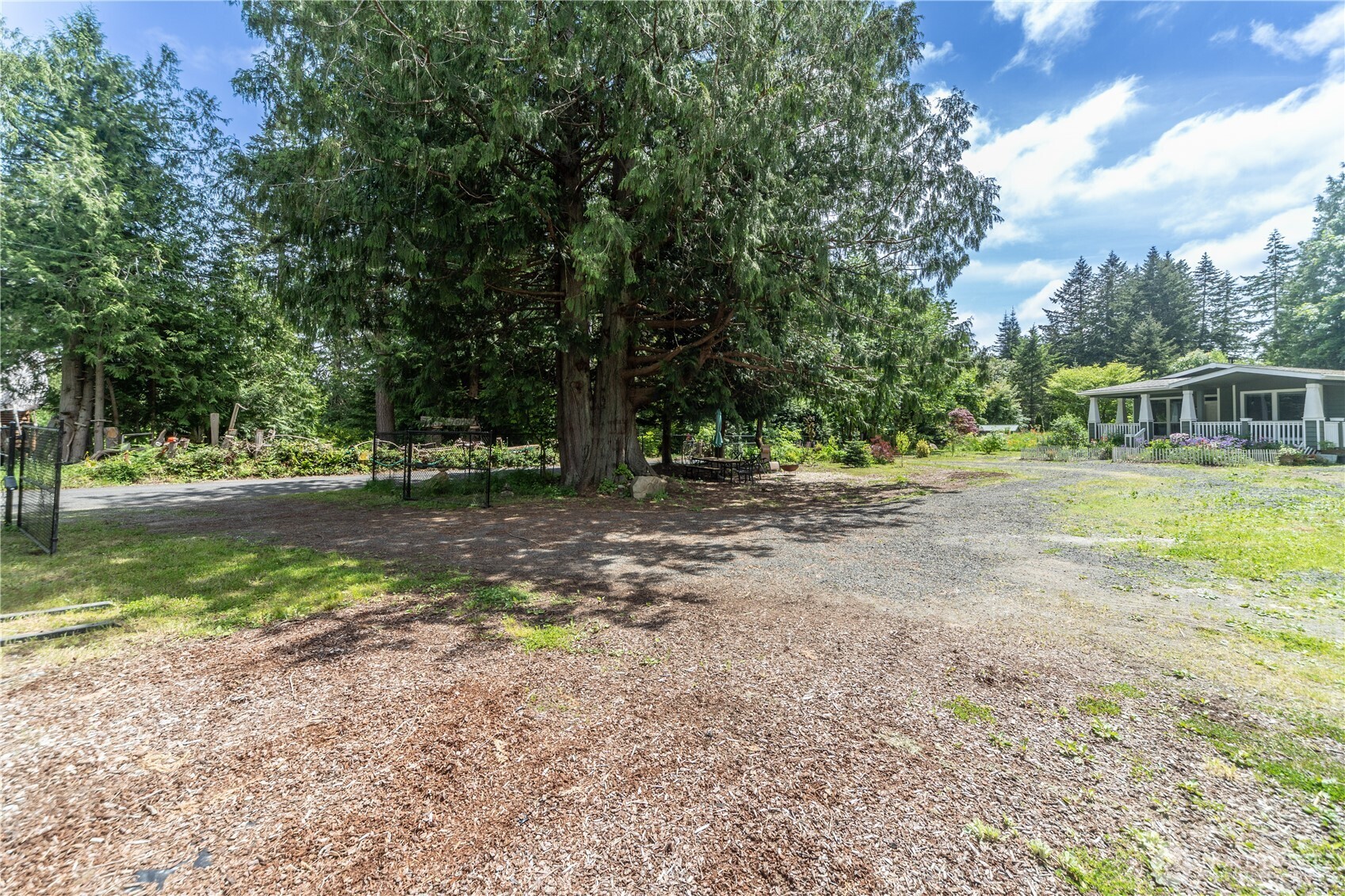 290 Werner Road Port Ludlow, WA 98365 - Photo 40 of 40 a view of backyard with green space