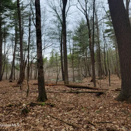 $60,000 | L47 Coldwater Tavern Road, East Nassau, NY 12062