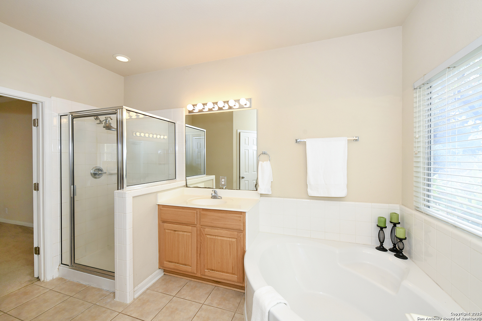 23539 Enchanted Fall San Antonio, TX 78260 - Photo 20 of 32