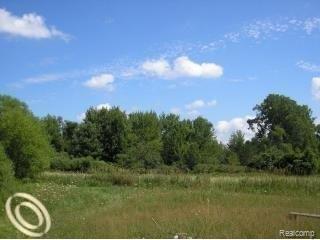 5575 South Kingston Road Kingston, MI 48741 - Photo 6 of 8 5575 ACREAGE.jpg