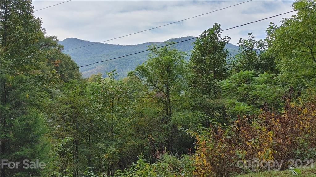 143 Leon Barron Road Sylva, NC 28779 - Photo 19 of 32 Gallery Image 19