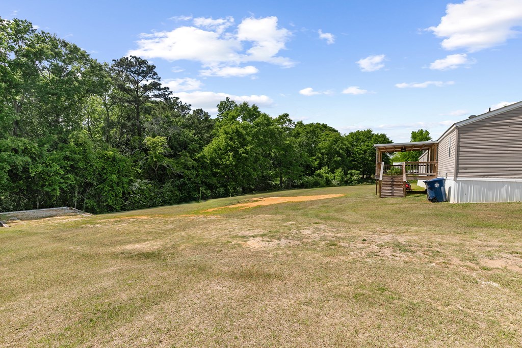 1048 Hubbard Road Newton, AL 36352 - Photo 11 of 39