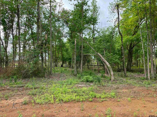 $18,000 | 2429 St Alto Tx 75925, Alto, TX 75925