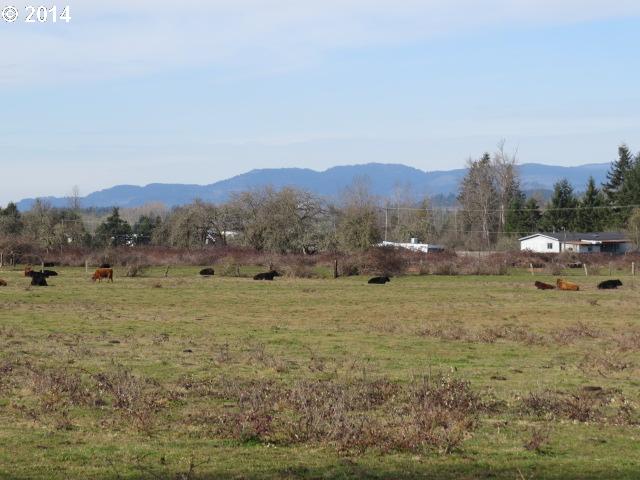 37438 Immigrant Road Pleasant Hill, OR 97455 - Photo 1 of 13 Gallery Image 1