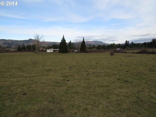 37438 Immigrant Road Pleasant Hill, OR 97455 - Photo 2 of 13 Gallery Image 2