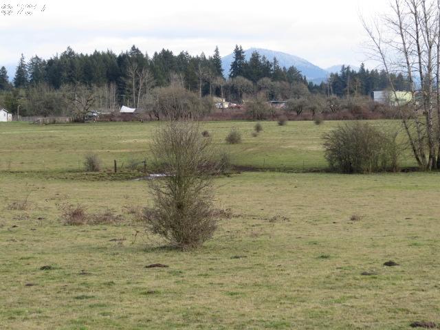 37438 Immigrant Road Pleasant Hill, OR 97455 - Photo 11 of 13 Gallery Image 11