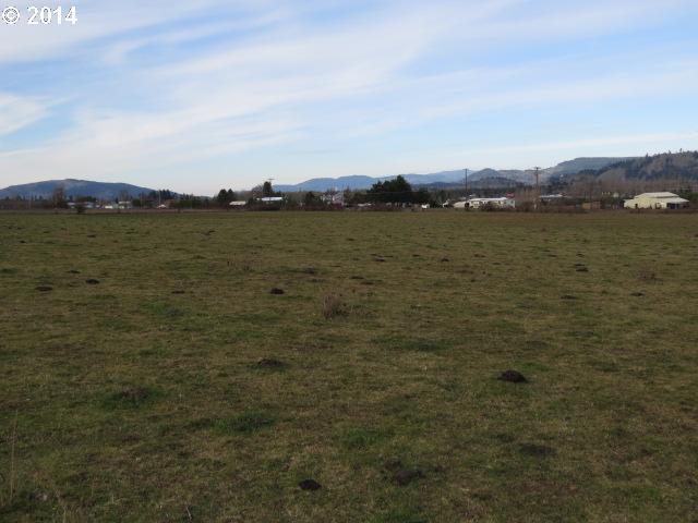 37438 Immigrant Road Pleasant Hill, OR 97455 - Photo 13 of 13 Gallery Image 13