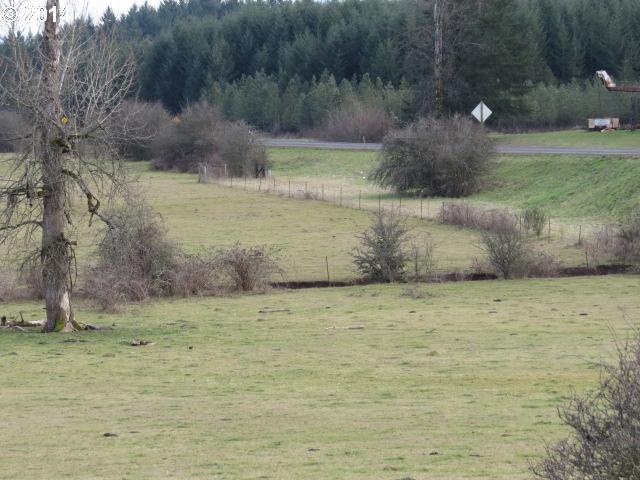 37438 Immigrant Road Pleasant Hill, OR 97455 - Photo 3 of 13 Gallery Image 3
