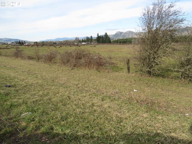 37438 Immigrant Road Pleasant Hill, OR 97455 - Photo 4 of 13 Gallery Image 4