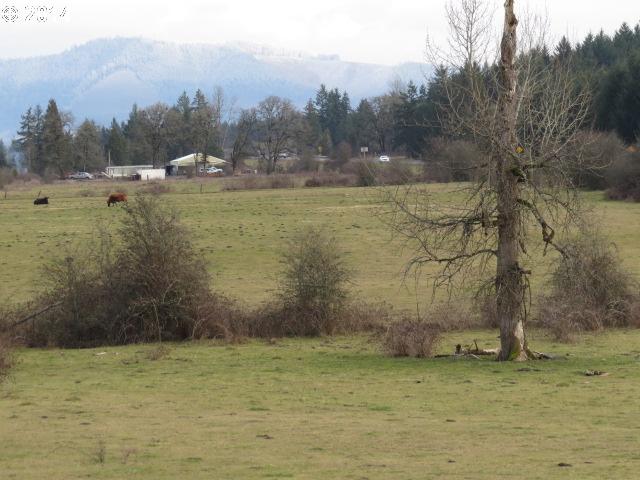 37438 Immigrant Road Pleasant Hill, OR 97455 - Photo 8 of 13 Gallery Image 8