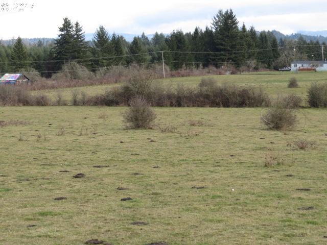 37438 Immigrant Road Pleasant Hill, OR 97455 - Photo 9 of 13 Gallery Image 9