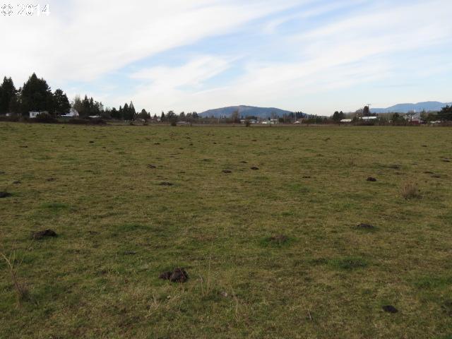 37438 Immigrant Road Pleasant Hill, OR 97455 - Photo 10 of 13 Gallery Image 10