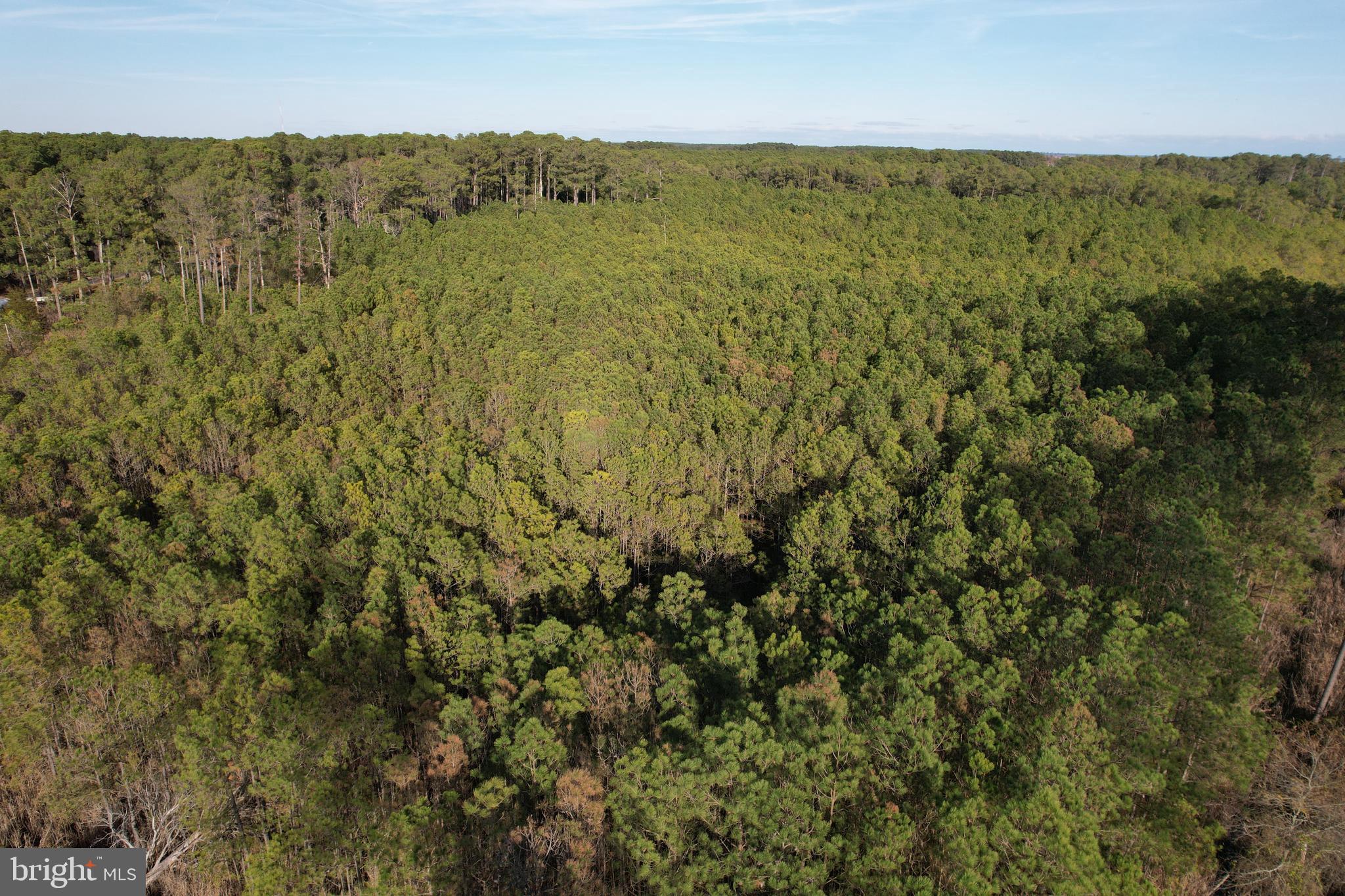 455 Boone Road Crisfield, MD 21817 - Photo 2 of 9