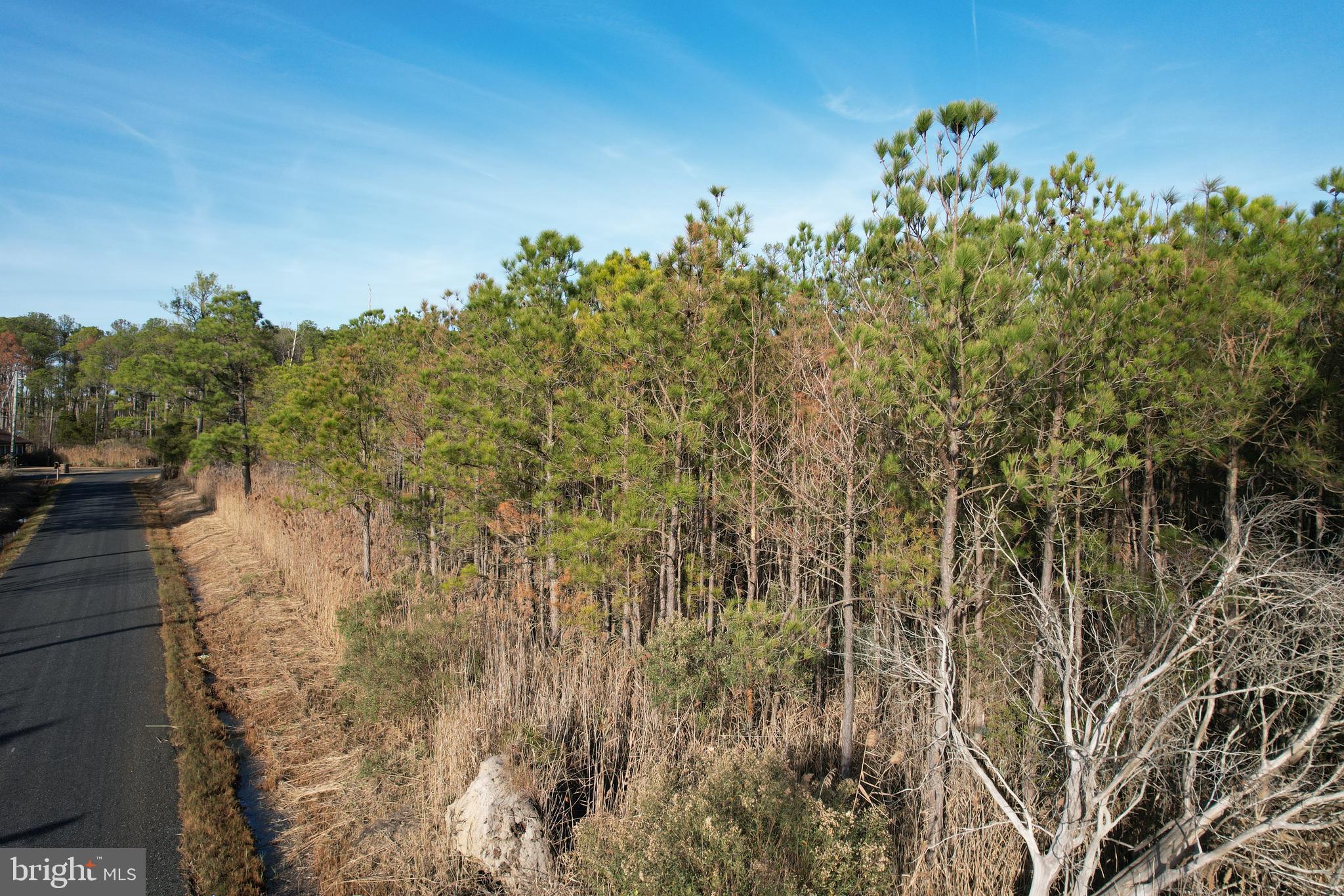 455 Boone Road Crisfield, MD 21817 - Photo 3 of 9