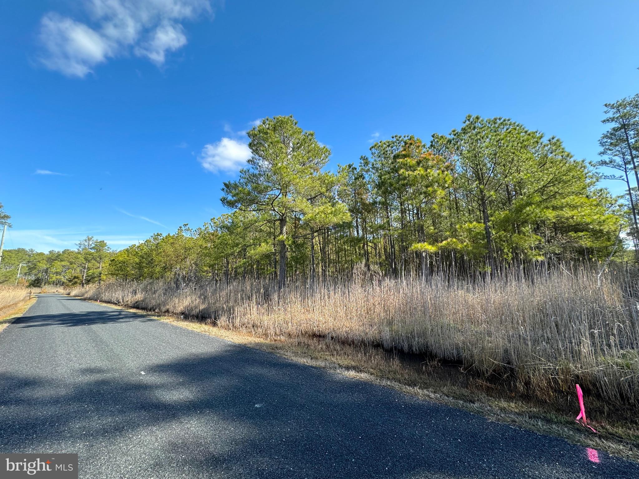 455 Boone Road Crisfield, MD 21817 - Photo 5 of 9