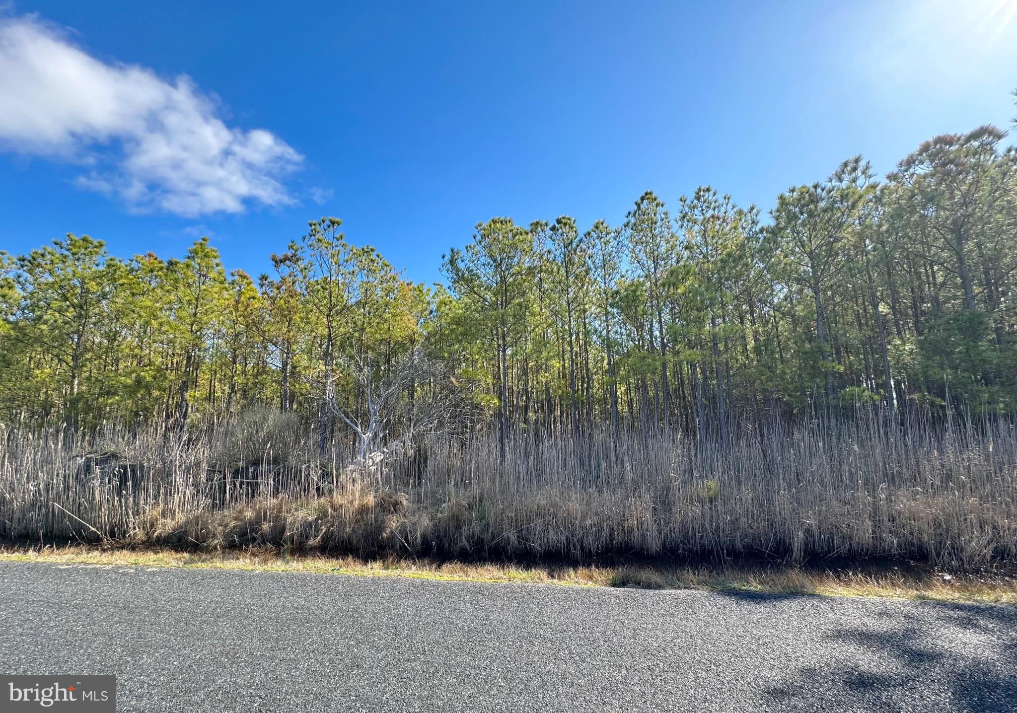 455 Boone Road Crisfield, MD 21817 - Photo 6 of 9