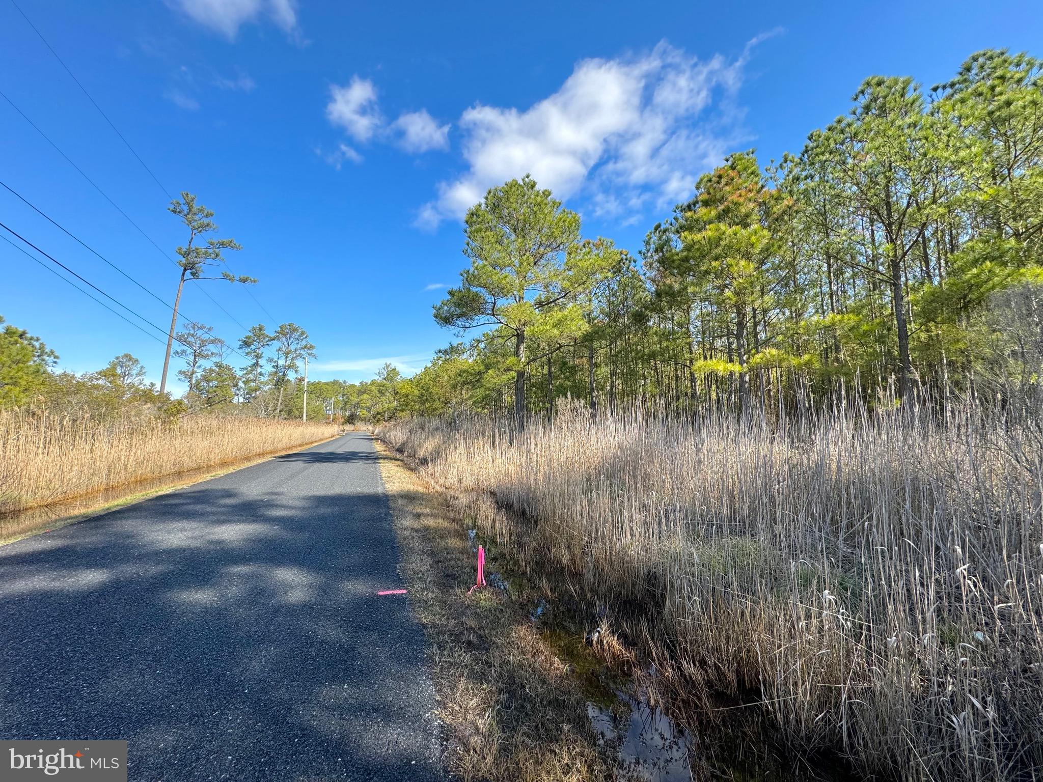 455 Boone Road Crisfield, MD 21817 - Photo 7 of 9