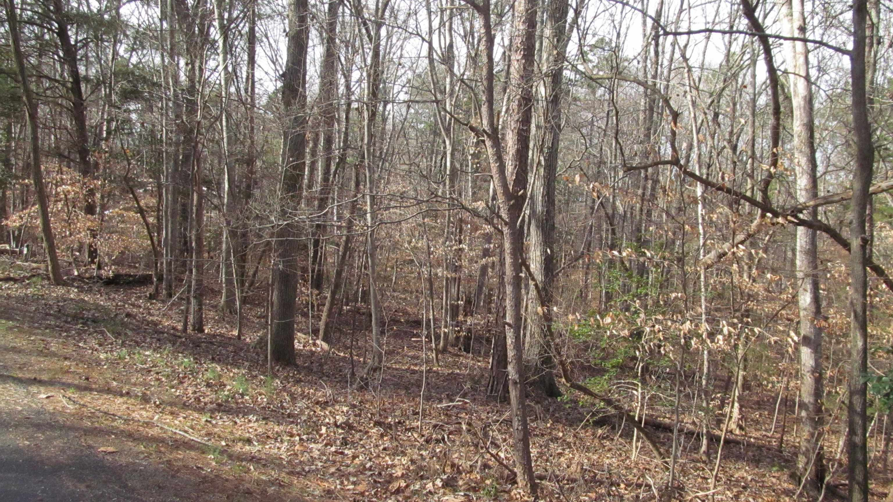 Lot 50 Lewis Road Clarksville, VA 23927 - Photo 6 of 24 Photo 6