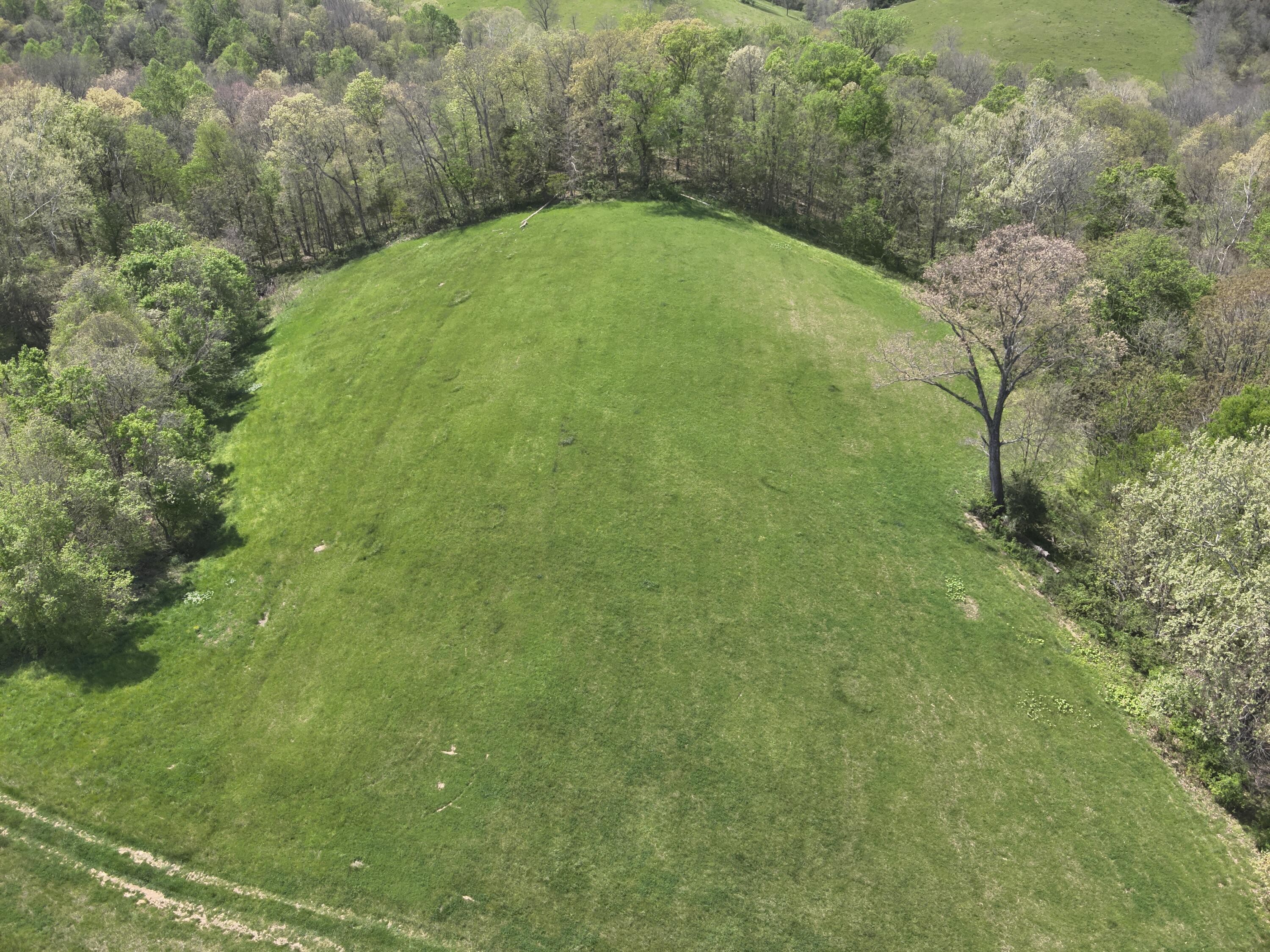 2451 Sardis Road Mount Olivet, KY 41064 - Photo 13 of 42