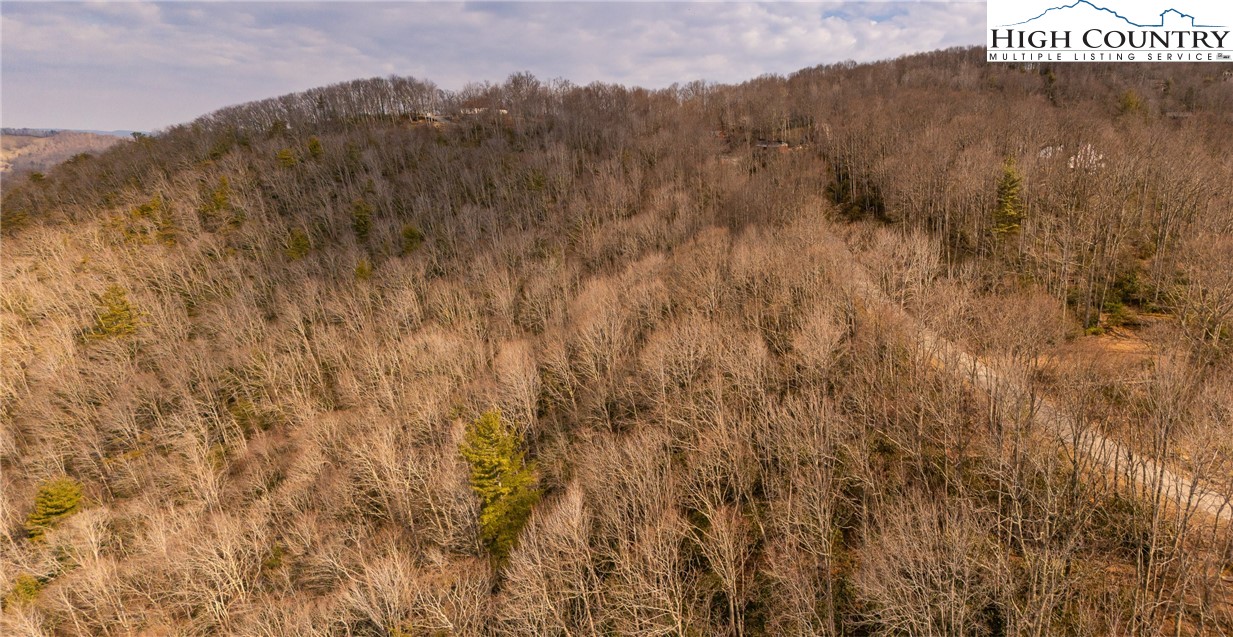 1122 Pine Ridge Road Beech Mountain, NC 28604 - Photo 28 of 38 a view of a dry yard with mountains in the background