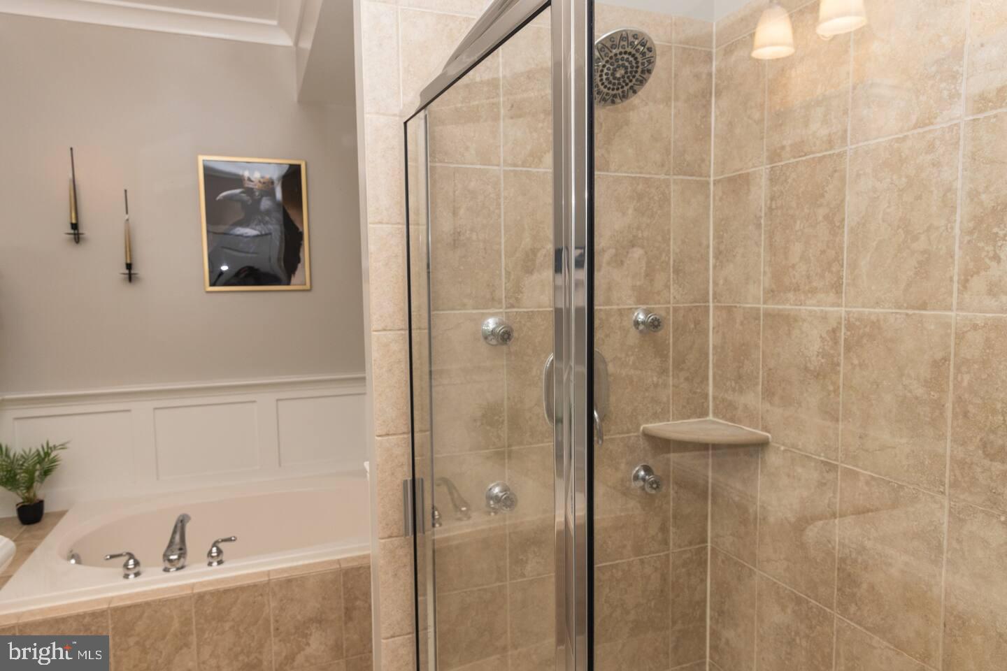 24 South Regester Street Baltimore, MD 21231 - Photo 17 of 32 Large bathroom with walk in shower and soaker tub